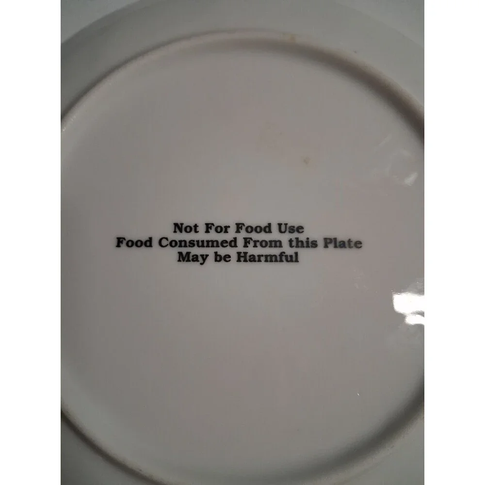 San Antonio  Texas The Alamo Plate